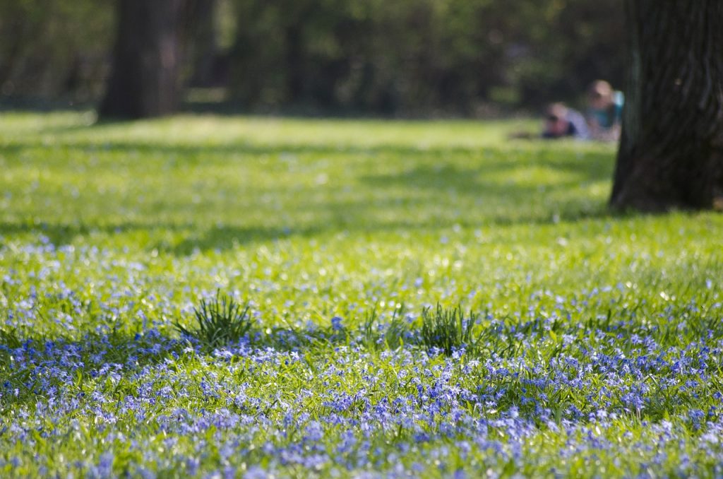 cleaning picnic spot