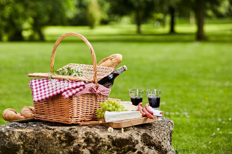 33 Essential Items What to Bring on a Picnic Date in 2021 [checklist]