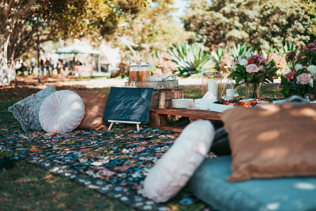 picnic pillows