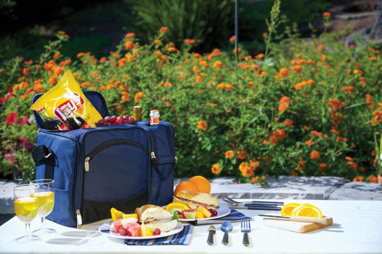 5 Best Picnic Baskets on Wheels in 2022 (Modern Rolling Coolers)