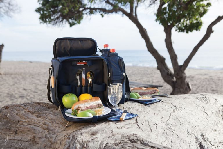 7 Best Picnic Cooler Bags in 2023 (fully insulated)