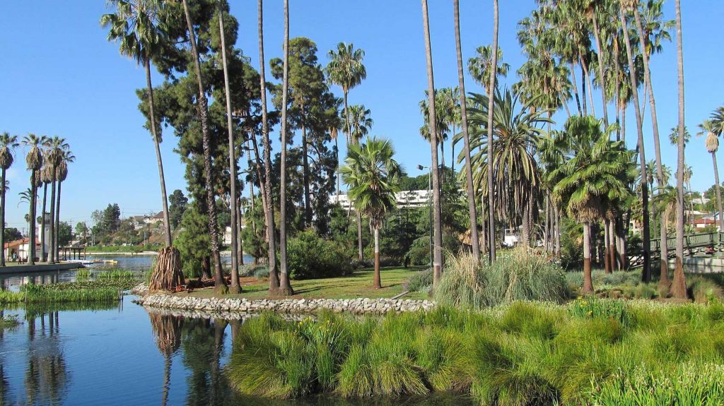 echo park picnic