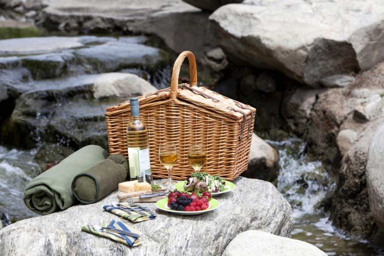 33 Essential Items: What To Bring On A Picnic Date In 2019 [checklist]