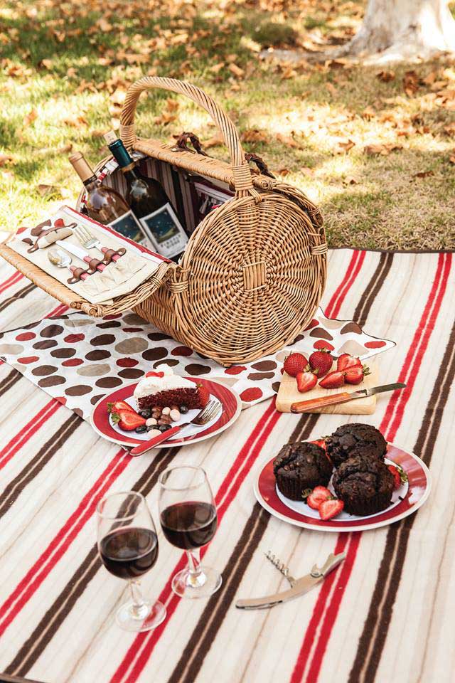 picnic blanket date