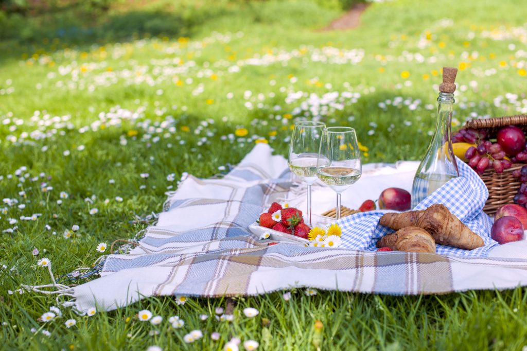 red and white picnic rug