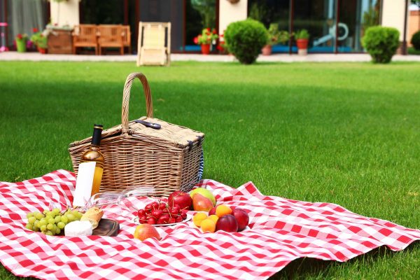 picnic set for 2 with blanket