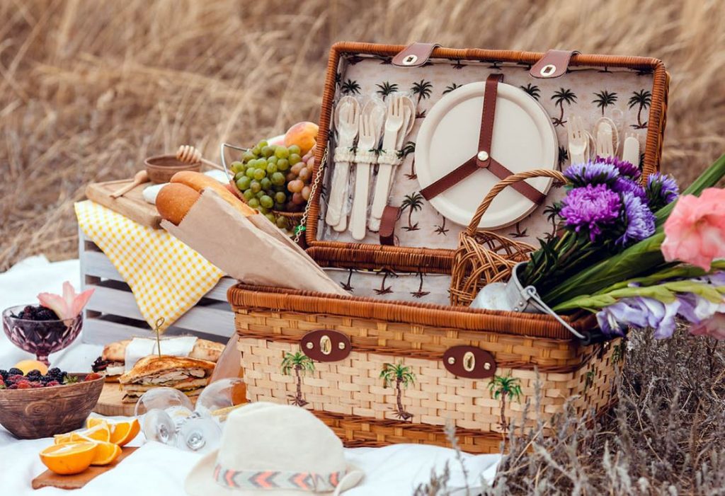 buy online picnic set