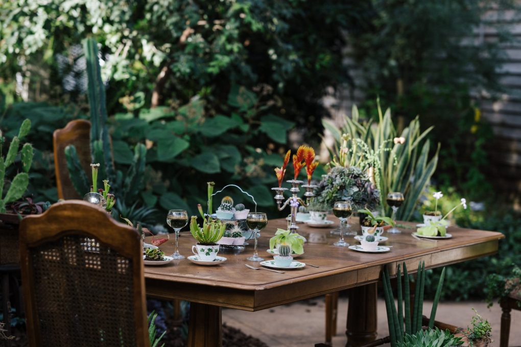 Clear Plastic Table Covers Near Me