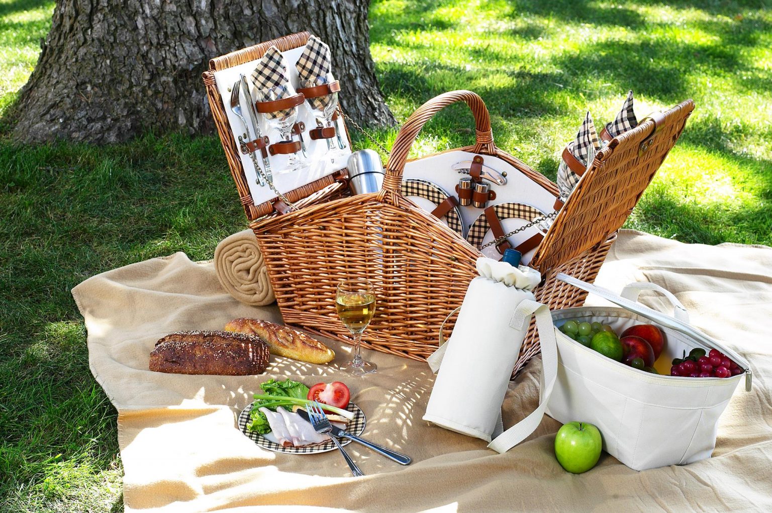 7 Best Mother's Day Picnic Ideas 2021 (+Gift Guide)