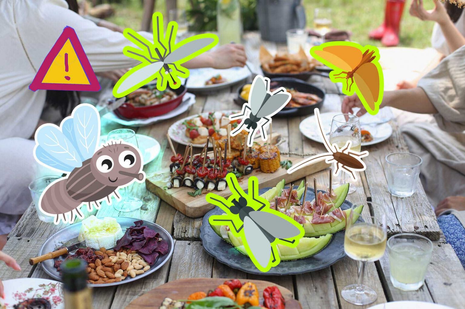 9 Safe Ways To Keep Flies Away Outside (at picnics, BBQs, parties)