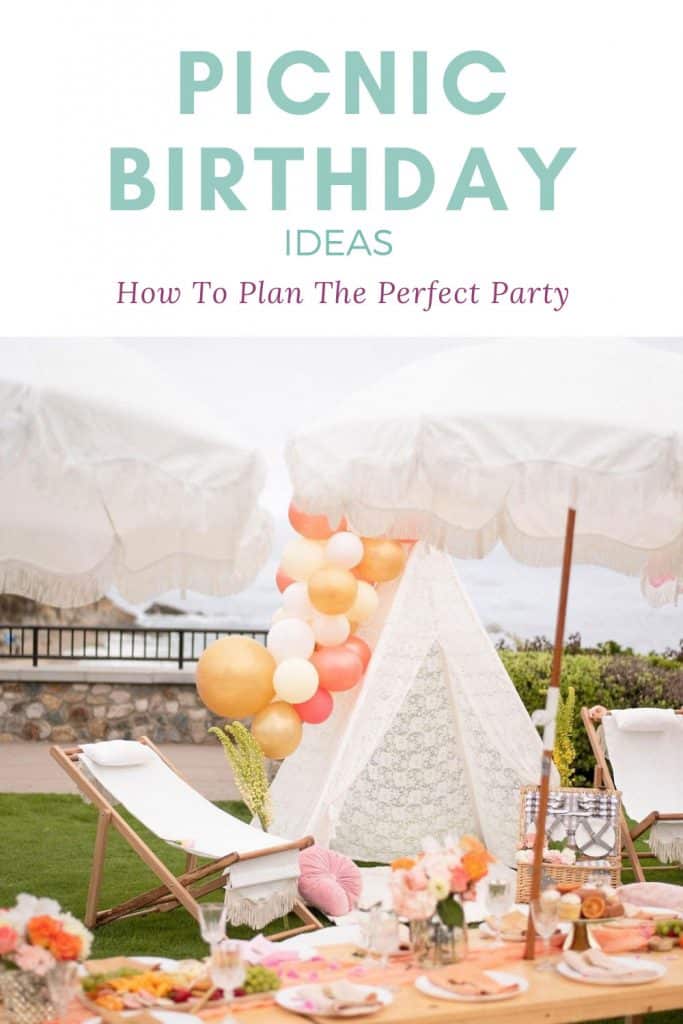 how to throw a birthday picnic