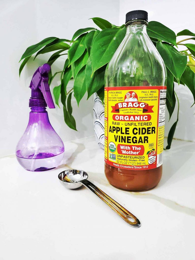 vinegar cleaning solution for mildew