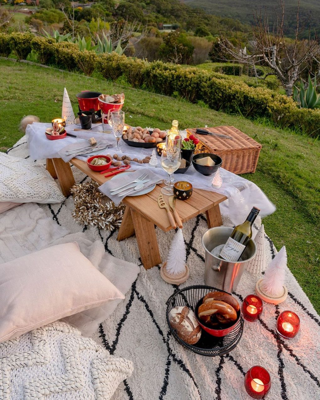 cozy picnic blanket for cold weather