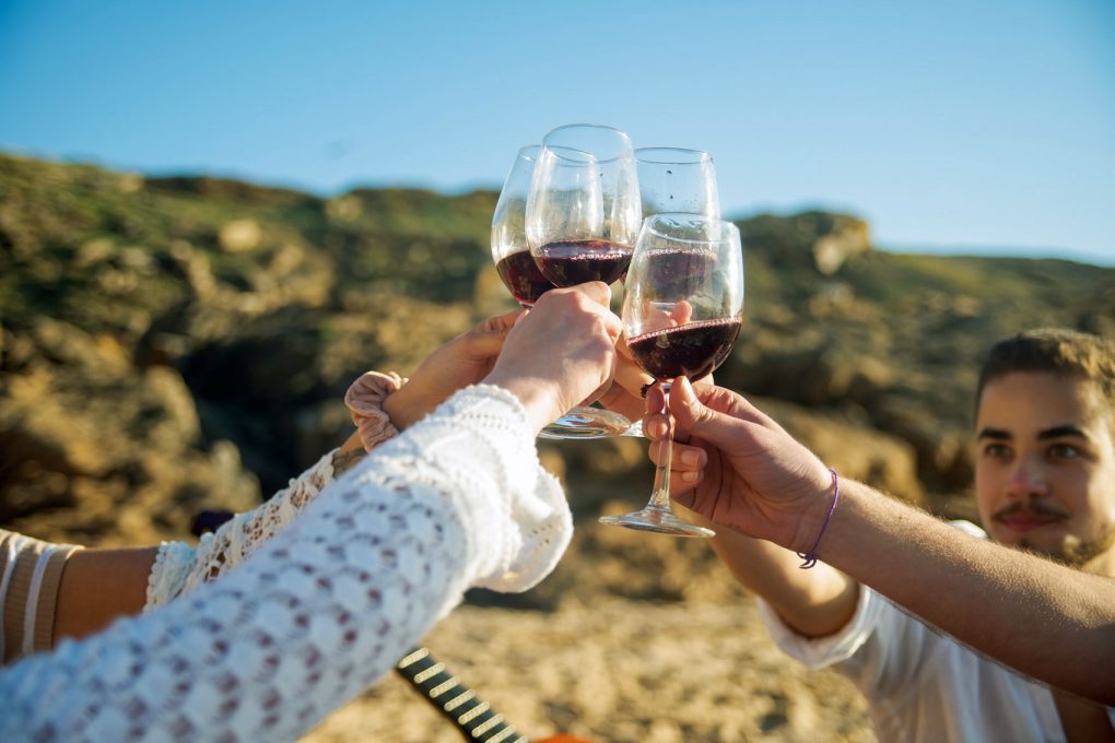 How To Plan The Ultimate Winery Picnic What to Bring (2024)