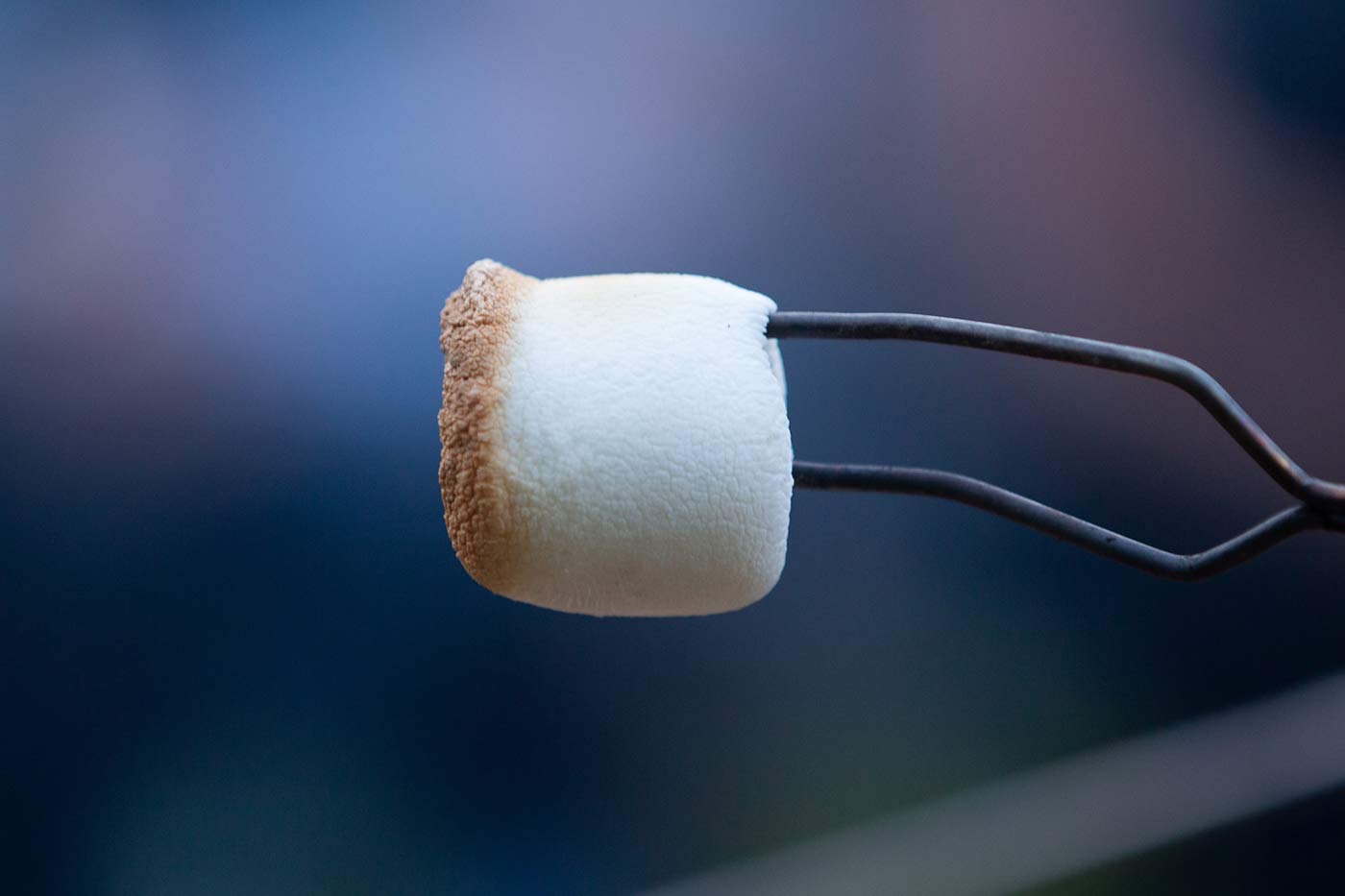 can you roast marshmallows over a candle