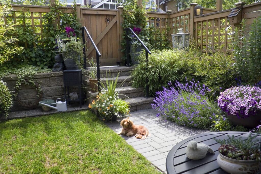 cleaning dog pee from patio