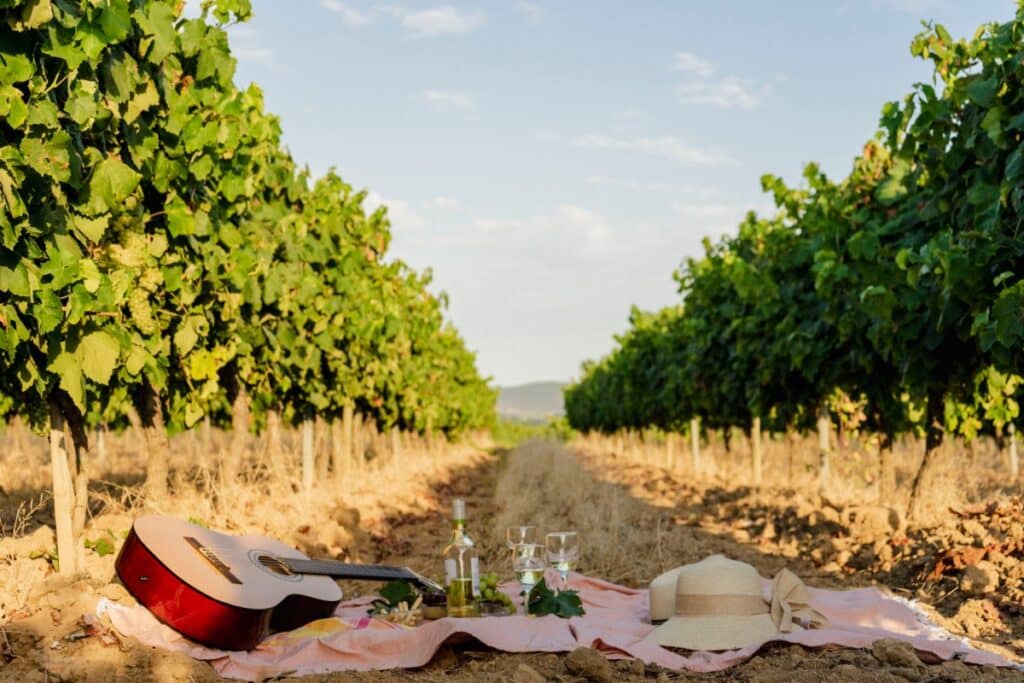 winery snacks