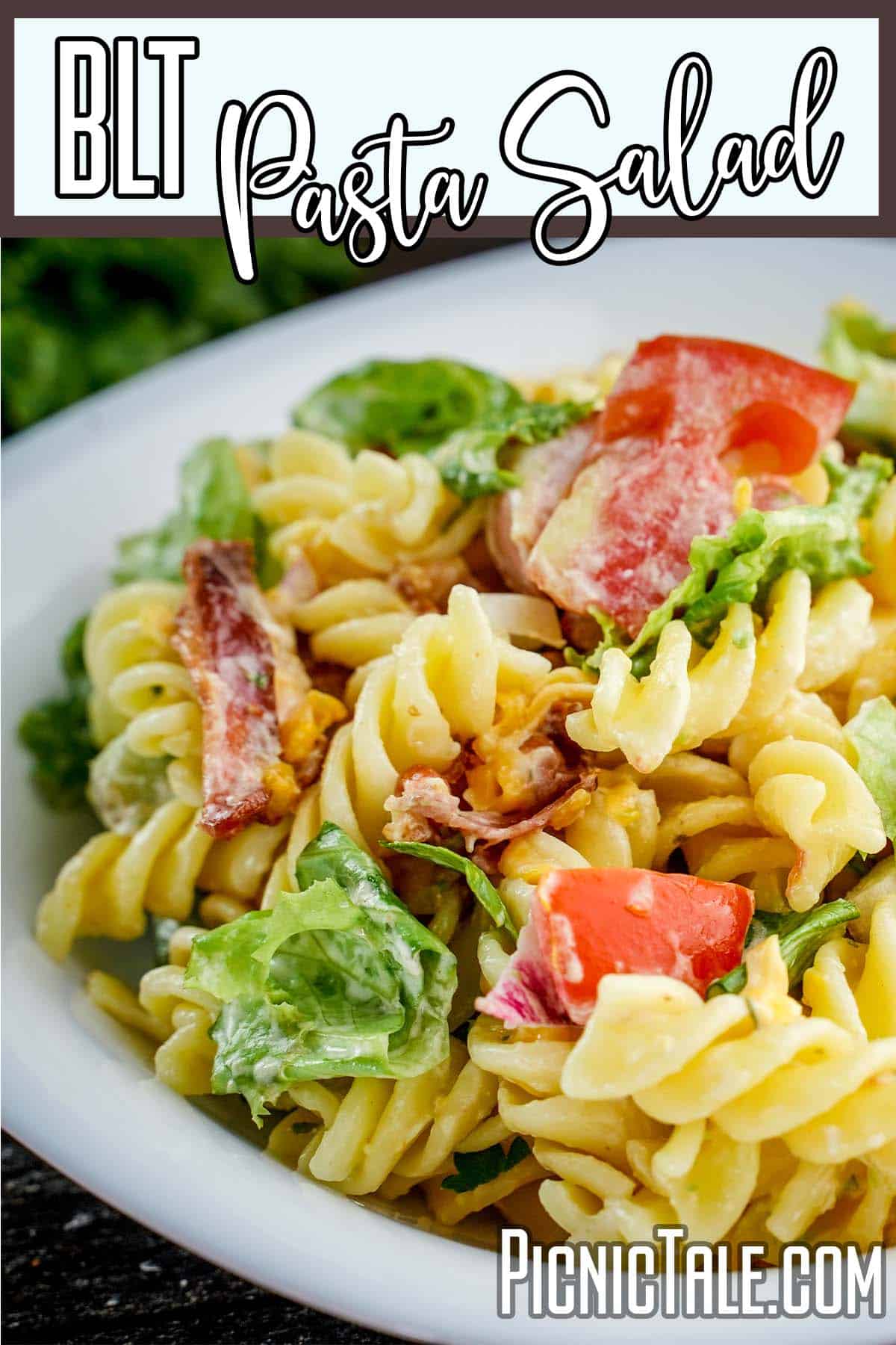 closeup of pasta salad with bacon with text which reads BLT Pasta Salad