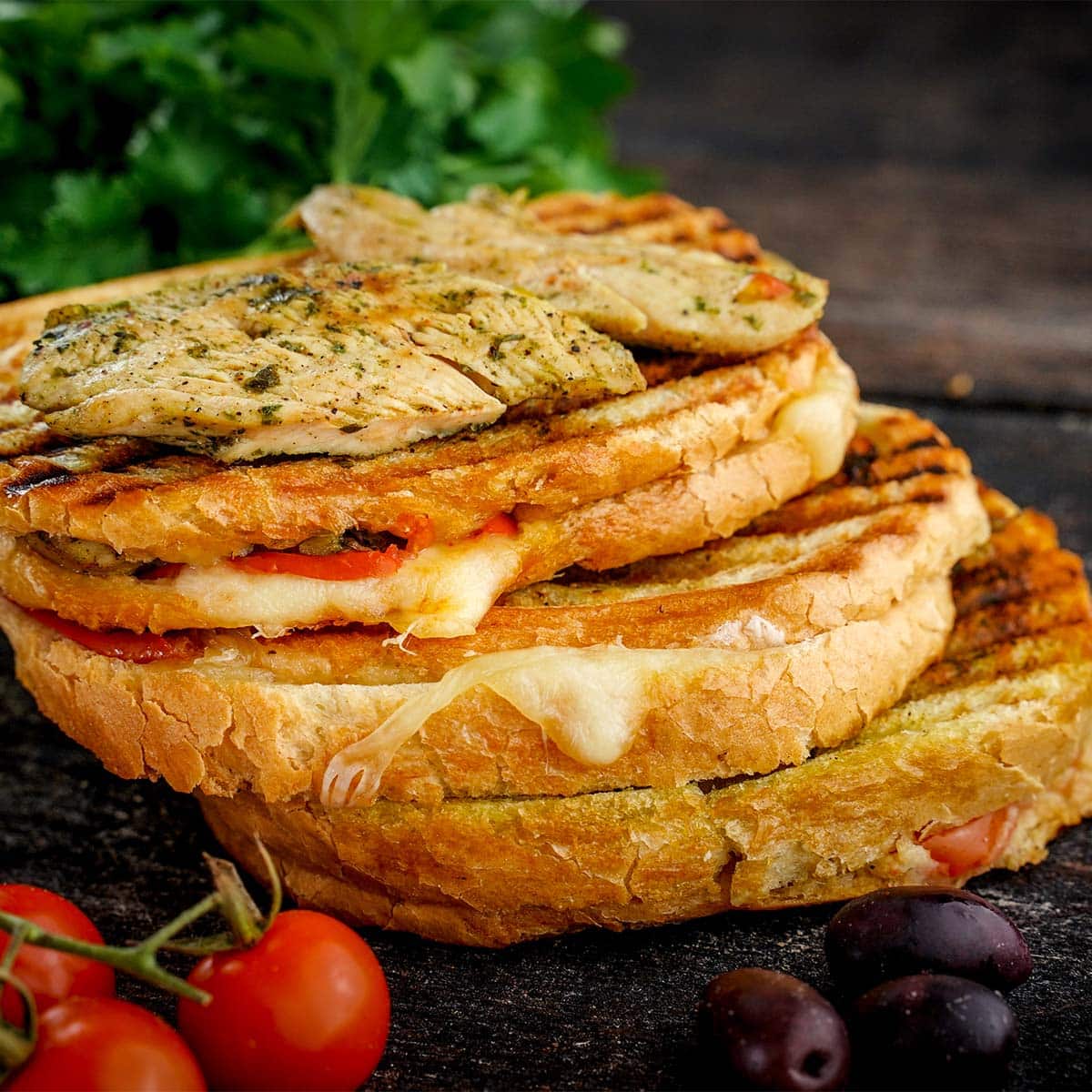 Chicken Caprese Panini, side view with cherry tomatoes and olives.