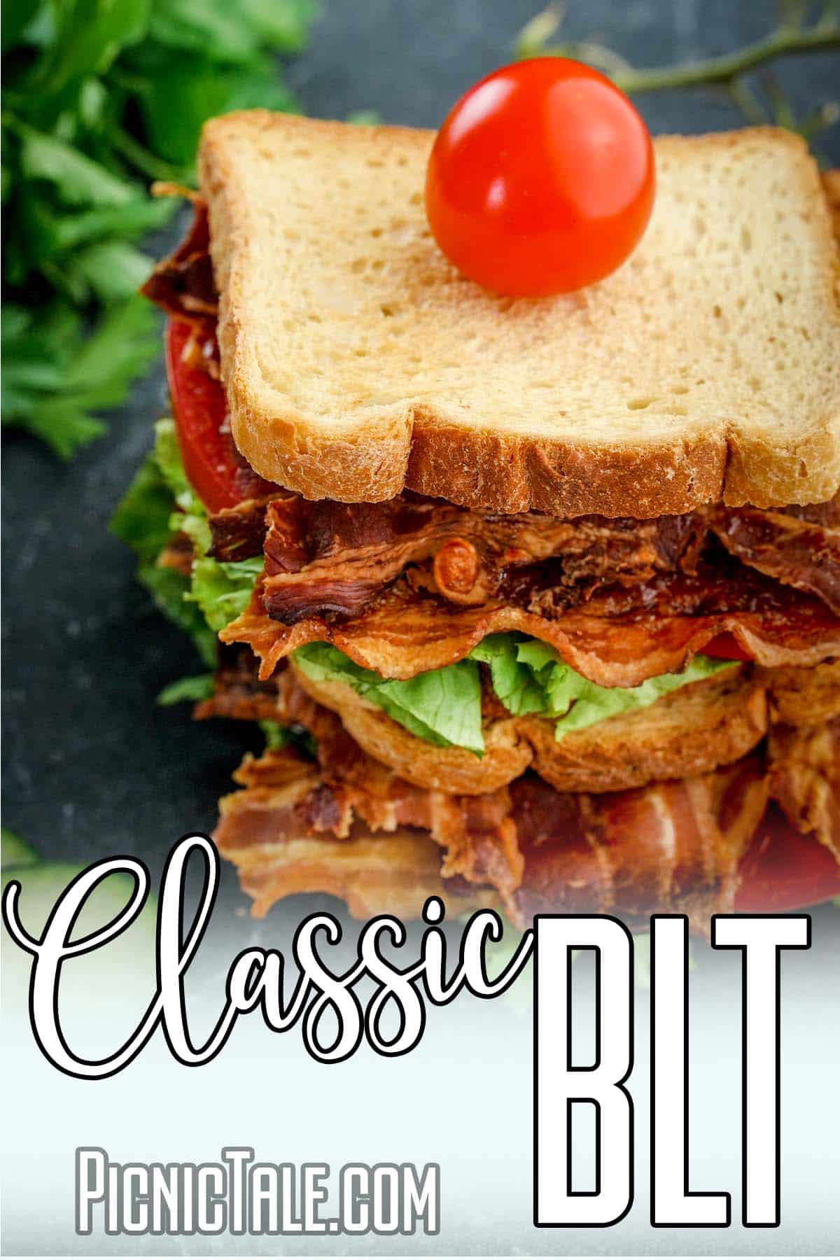 easy picnic sandwich idea with text which reads classic blt