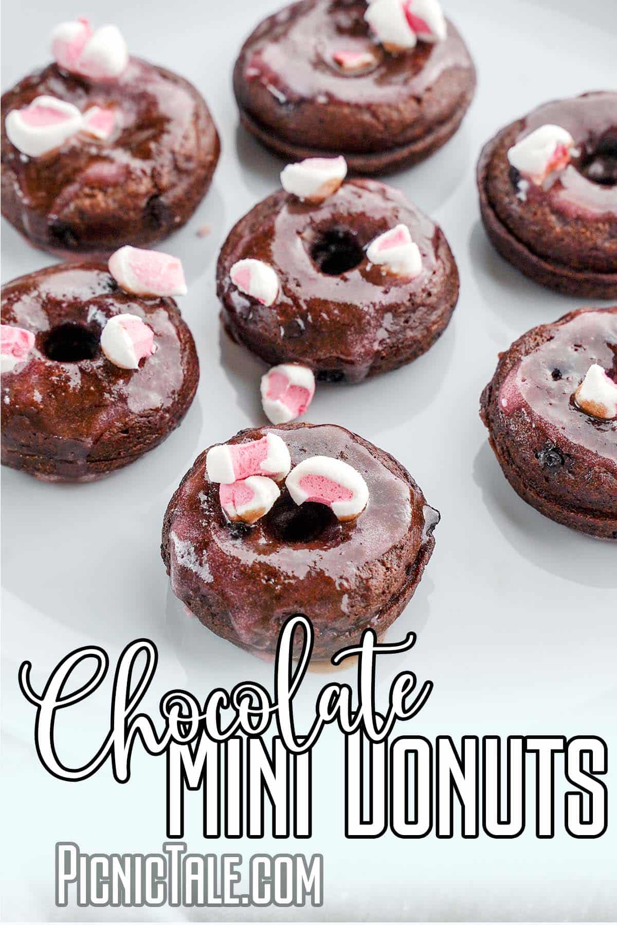 plate of mini doughnuts with text which reads chocolate mini donuts