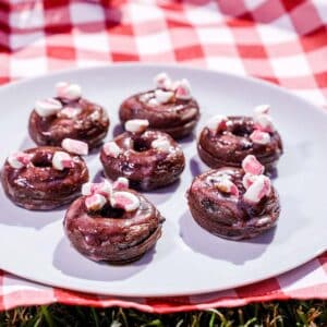 chocolate mini donuts for a picnic