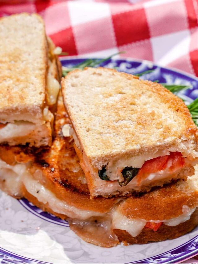 heirloom tomato and basil grilled cheese sandwich