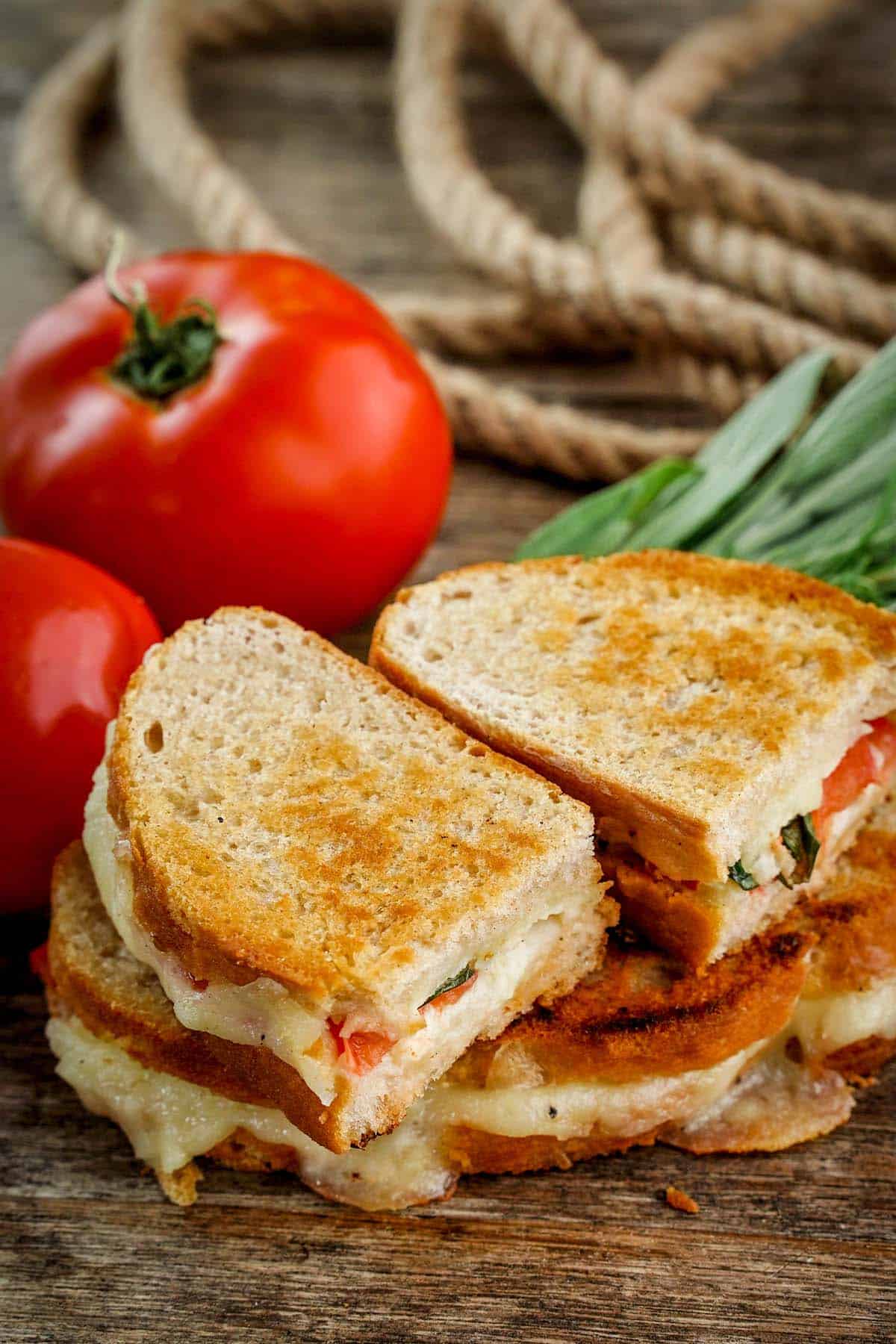 heirloom tomato and basil grilled cheese sandwich