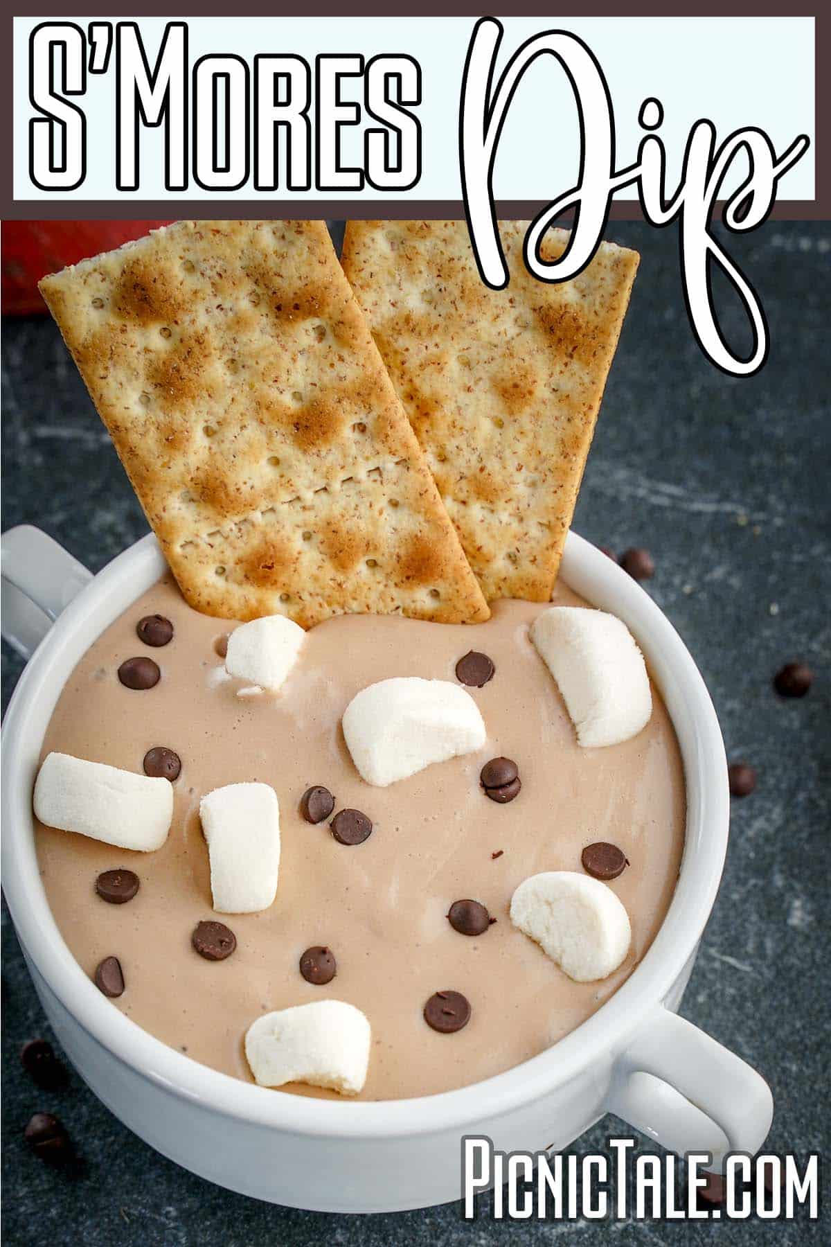 picnic dessert with text which reads s'mores dip