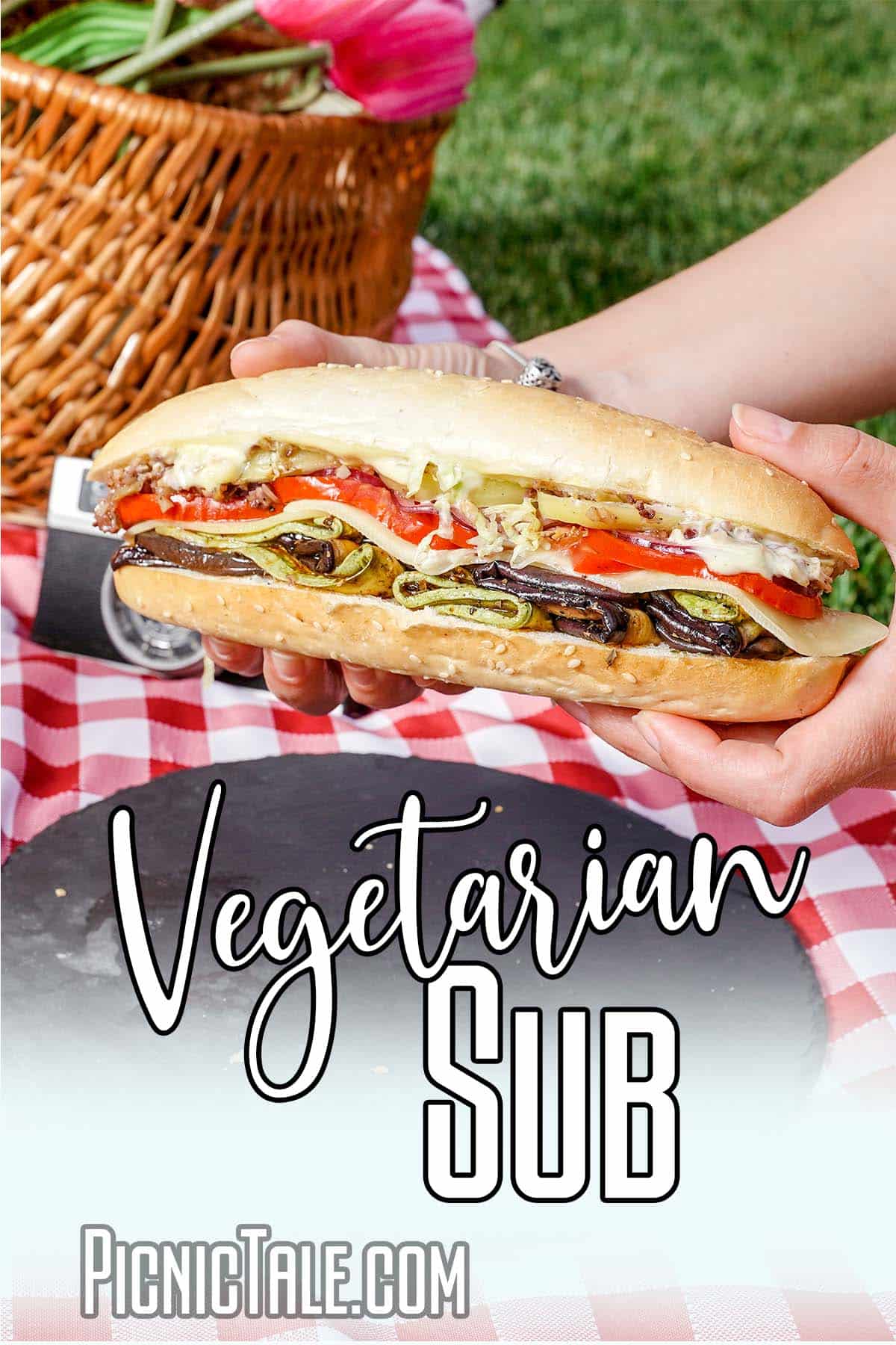 Holding Vegetarian sub outside at picnic.